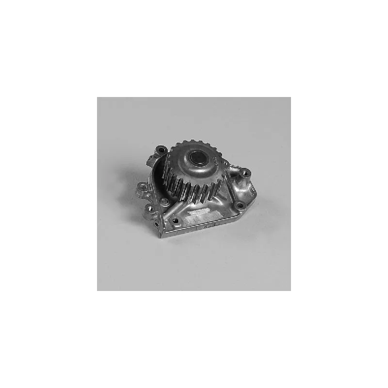 Pompe à eau HEPU P7827