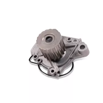 Pompe à eau HEPU P783