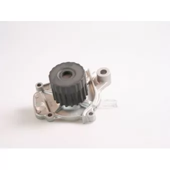 Pompe à eau HEPU P7833