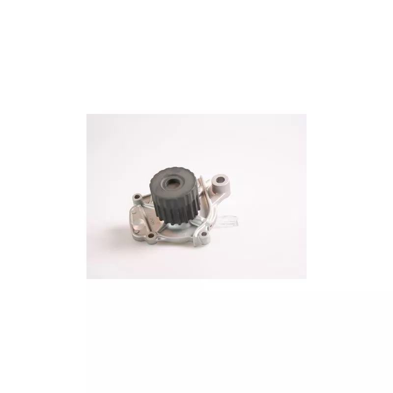 Pompe à eau HEPU P7833