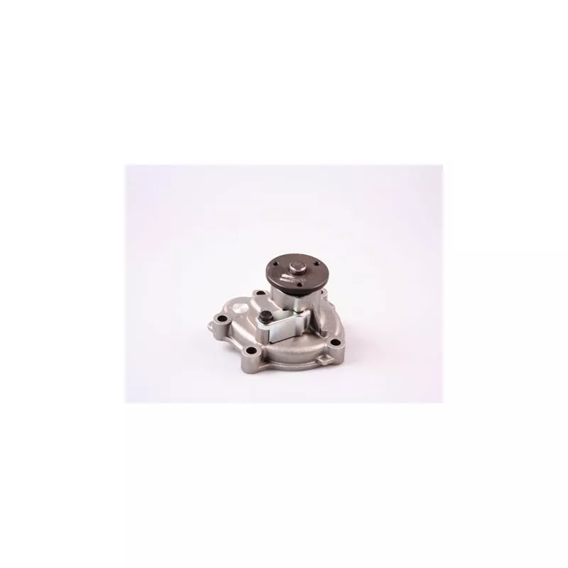 Pompe à eau HEPU P7836