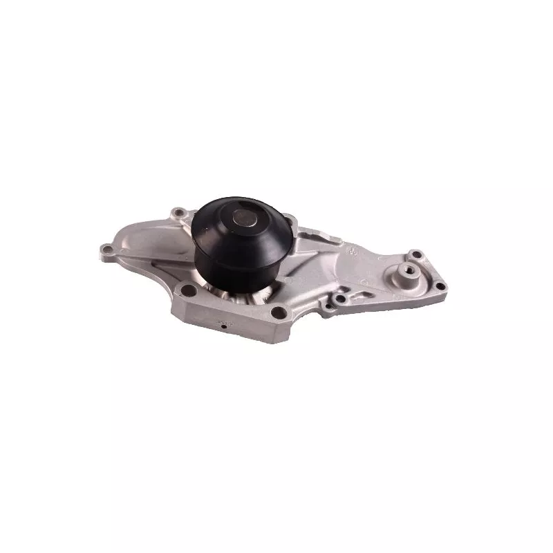 Pompe à eau HEPU P7839