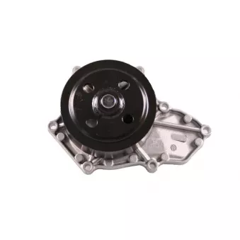 Pompe à eau HEPU P7841
