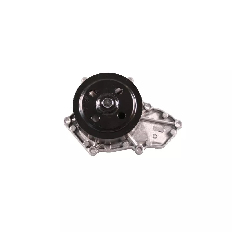 Pompe à eau HEPU P7841
