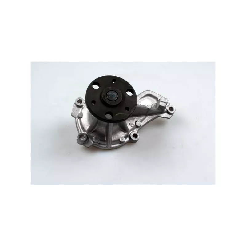 Pompe à eau HEPU P7843