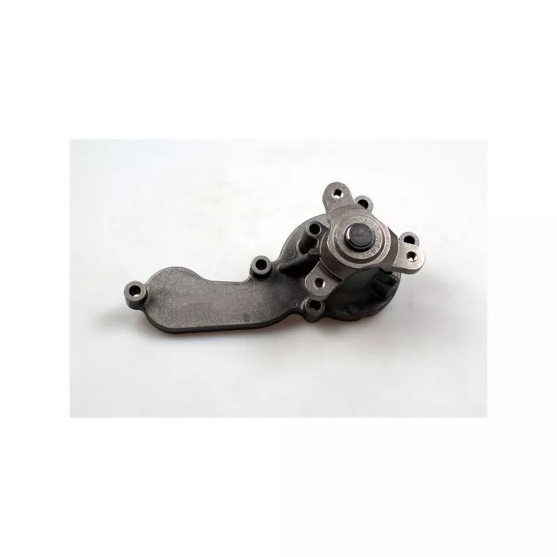 Pompe à eau HEPU P7844