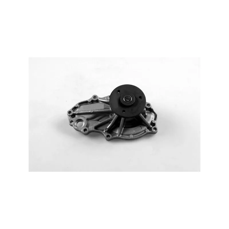 Pompe à eau HEPU P7847