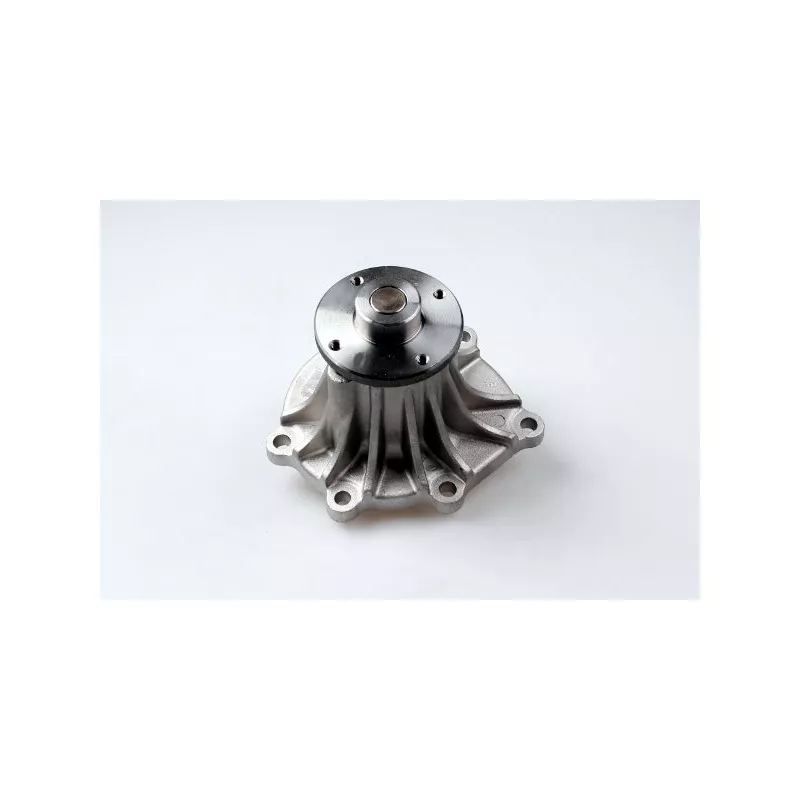 Pompe à eau HEPU P7849