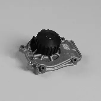 Pompe à eau HEPU P785