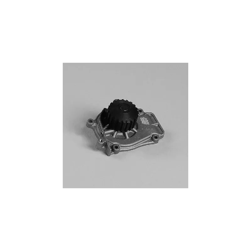 Pompe à eau HEPU P785