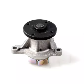 Pompe à eau HEPU P7855