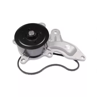 Pompe à eau HEPU P7858