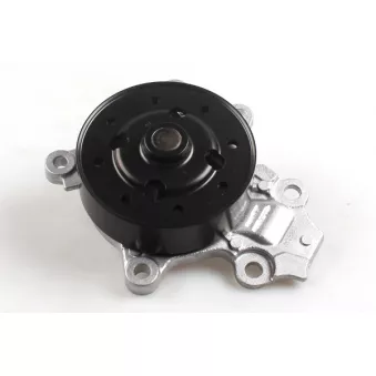 Pompe à eau HEPU P7861