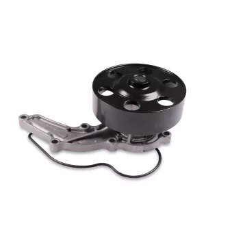 Pompe à eau HEPU P7872
