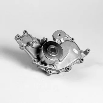 Pompe à eau HEPU P789