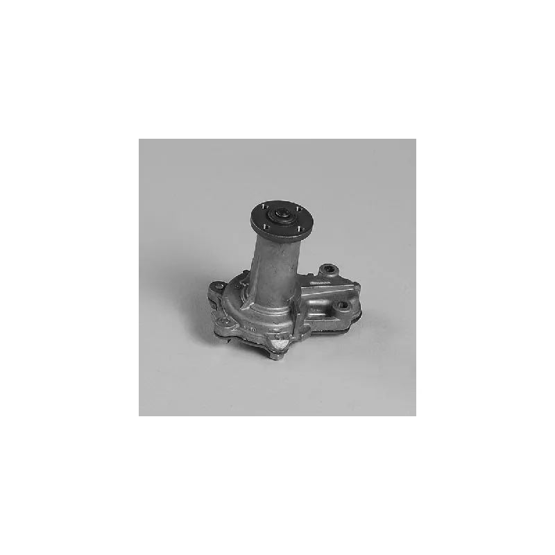 Pompe à eau HEPU P7904