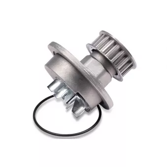 Pompe à eau HEPU P791