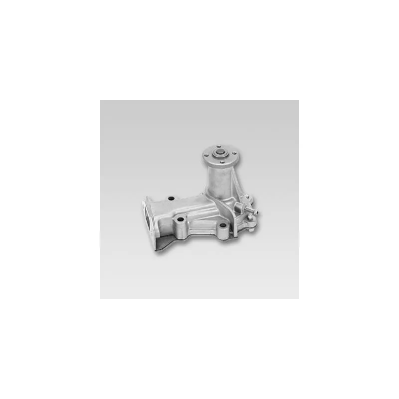Pompe à eau HEPU P7910
