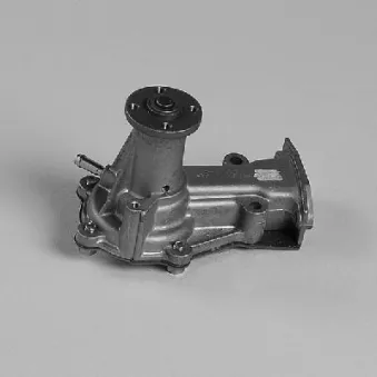 Pompe à eau HEPU P7913