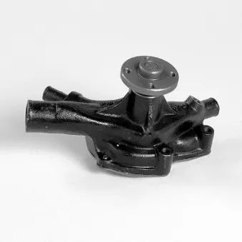 Pompe à eau HEPU P7919