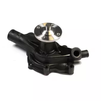 Pompe à eau HEPU P7921