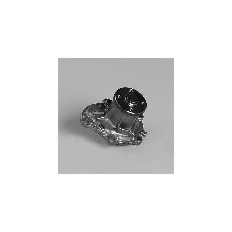 Pompe à eau HEPU P7924