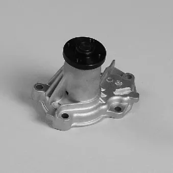 Pompe à eau HEPU P7925