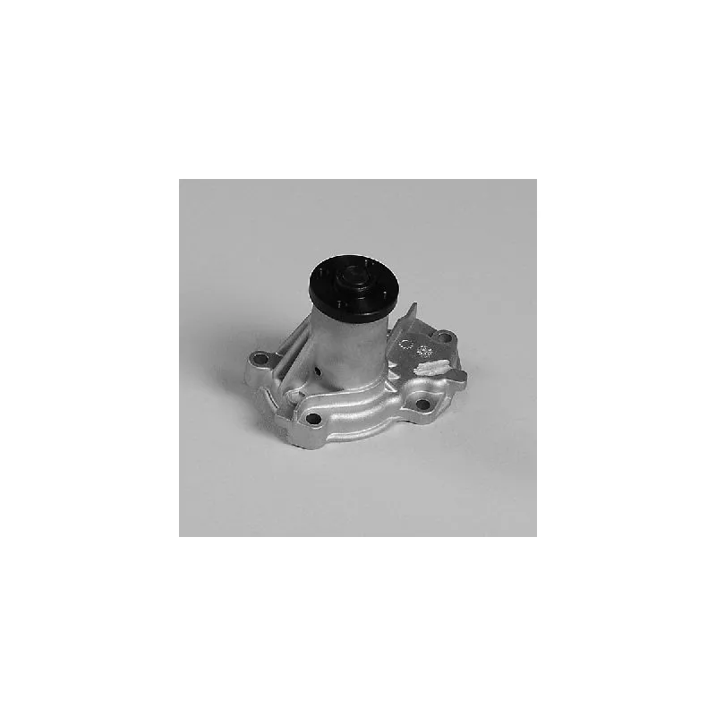 Pompe à eau HEPU P7925