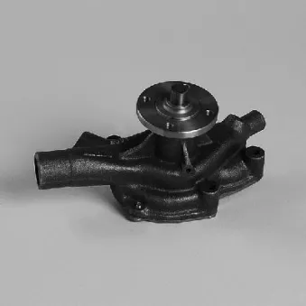 Pompe à eau HEPU P7926