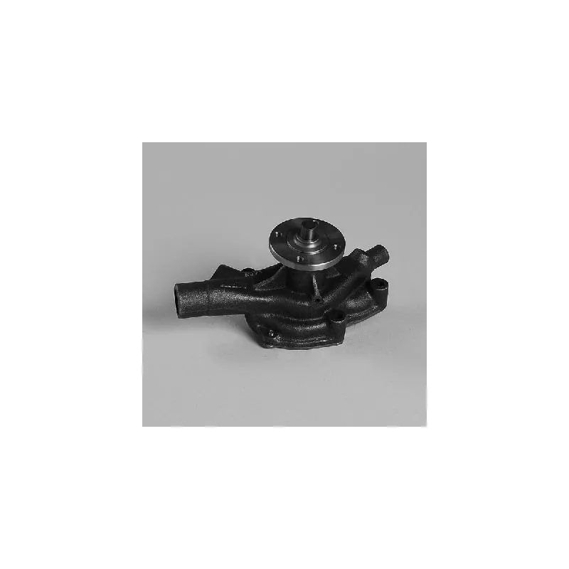 Pompe à eau HEPU P7926