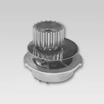 Pompe à eau HEPU P793