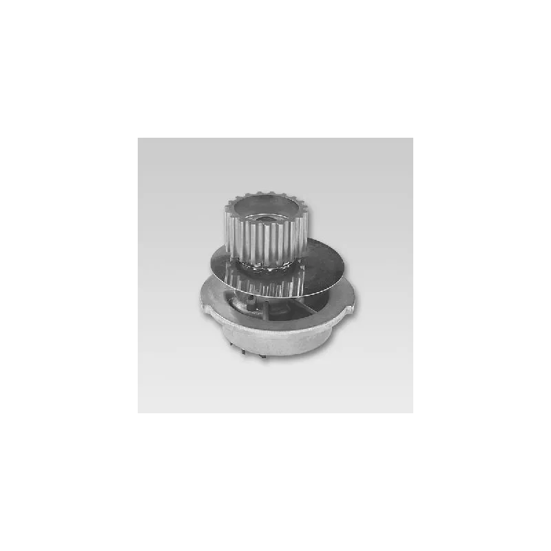 Pompe à eau HEPU P793