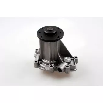 Pompe à eau HEPU P7930