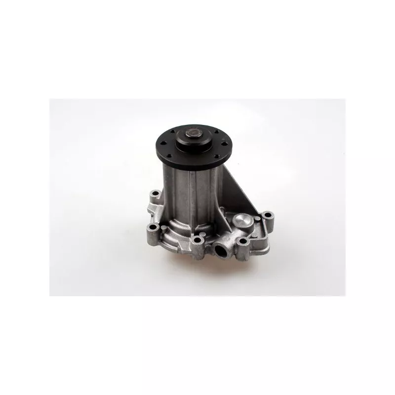 Pompe à eau HEPU P7930