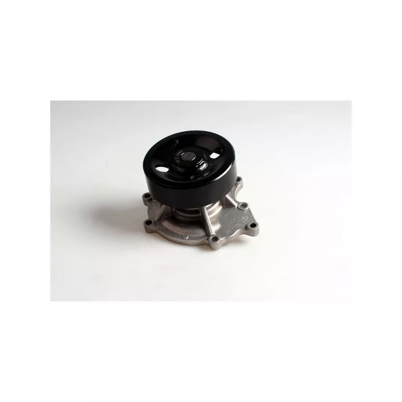 Pompe à eau HEPU P7932