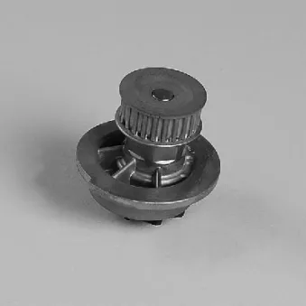 Pompe à eau HEPU P794