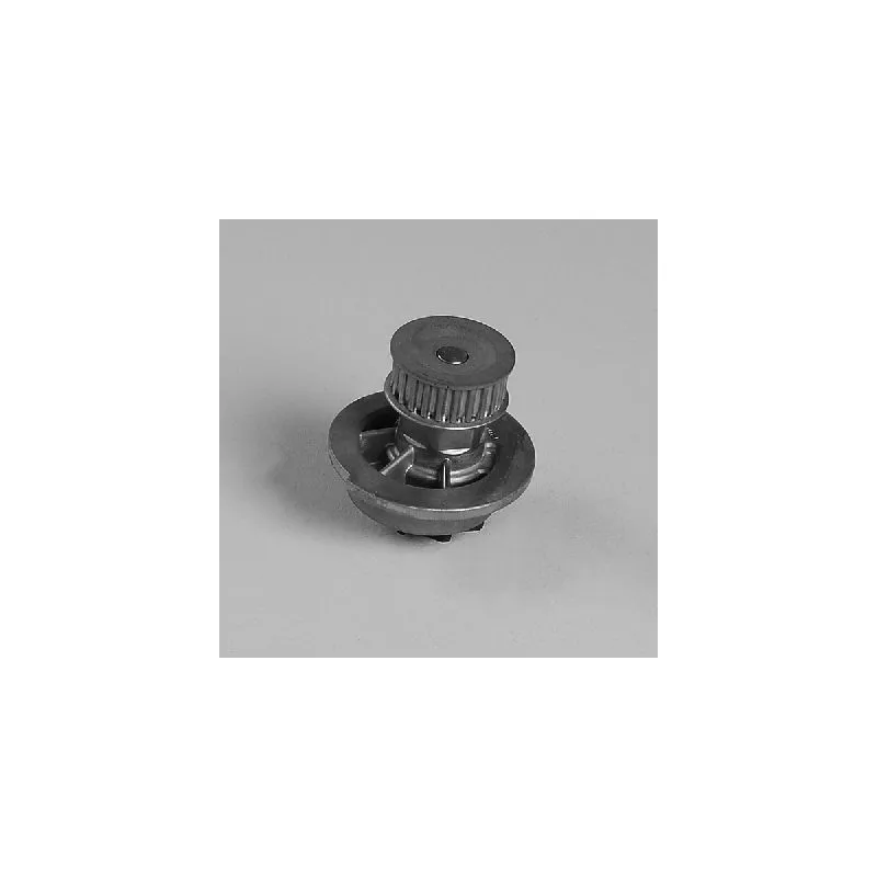 Pompe à eau HEPU P794
