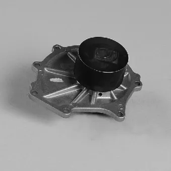 Pompe à eau HEPU P7981