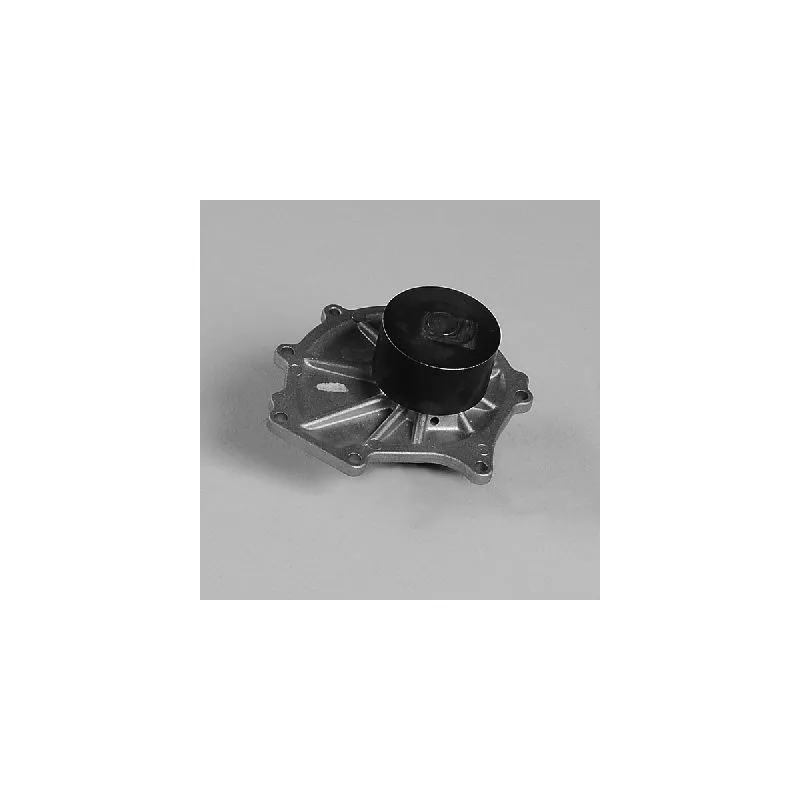 Pompe à eau HEPU P7981