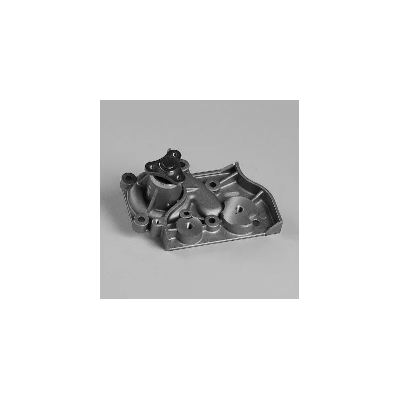 Pompe à eau HEPU P7982