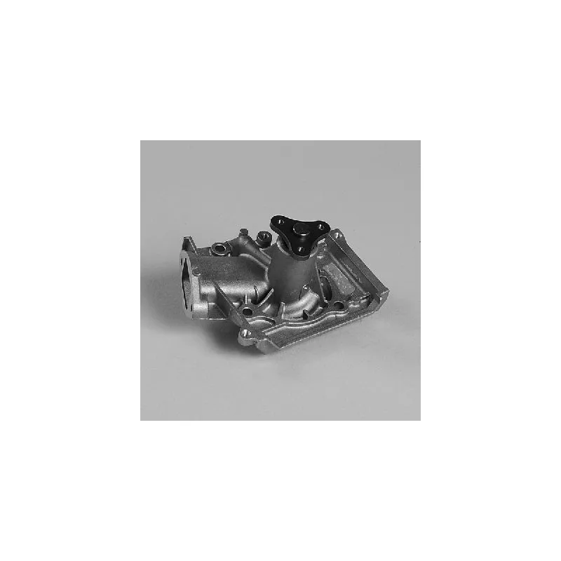 Pompe à eau HEPU P7983