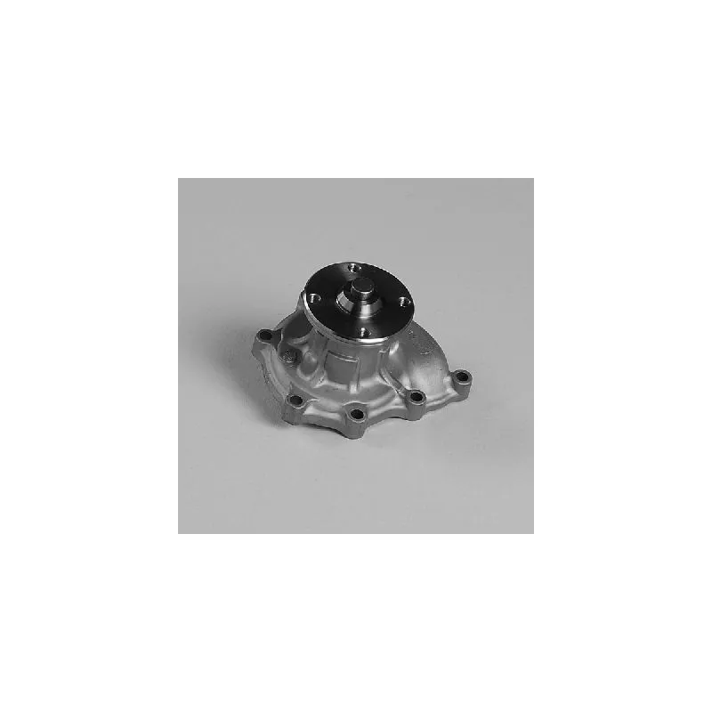 Pompe à eau HEPU P7984