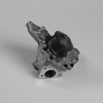 Pompe à eau HEPU P7989