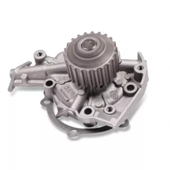 Pompe à eau HEPU P799