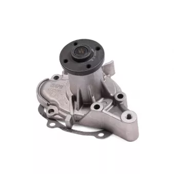 Pompe à eau HEPU P7993