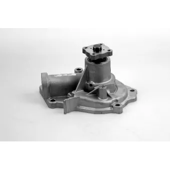Pompe à eau HEPU P7994