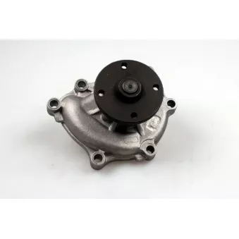 Pompe à eau HEPU P7996