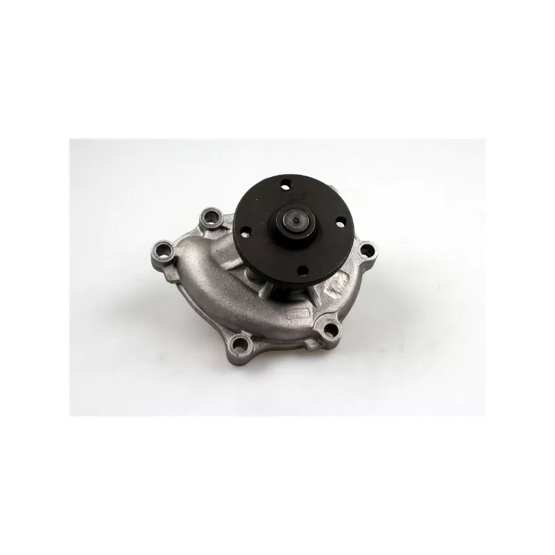 Pompe à eau HEPU P7996