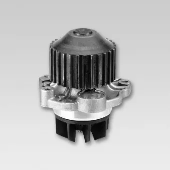 Pompe à eau HEPU P802