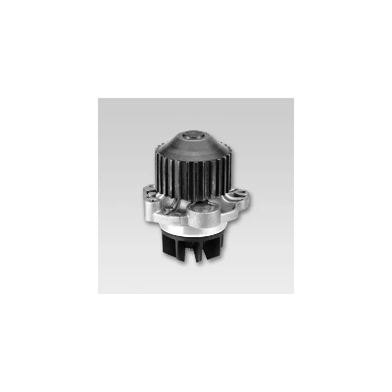 Pompe à eau HEPU P802